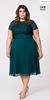 Picture of CURVY GIRL CHIFFON DRESS